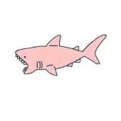 Значок Акула