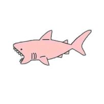 Значок Акула