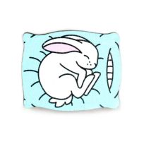 Значок Кролик на подушке