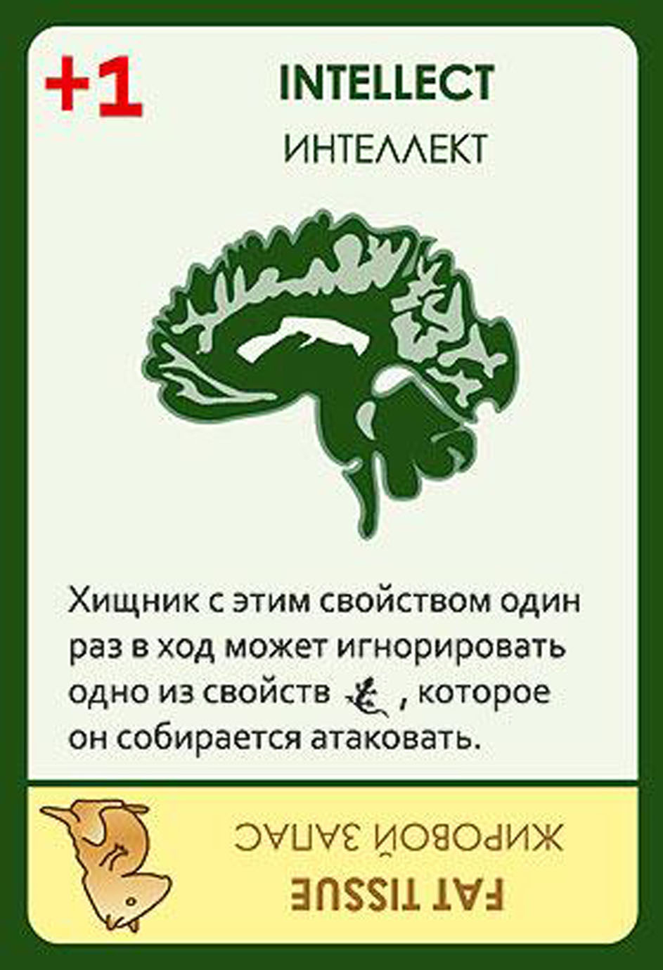 Настольная игра Эволюция. Время летать | купить в Красноярске