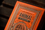 Карты Animal Kingdom от Theory11.com