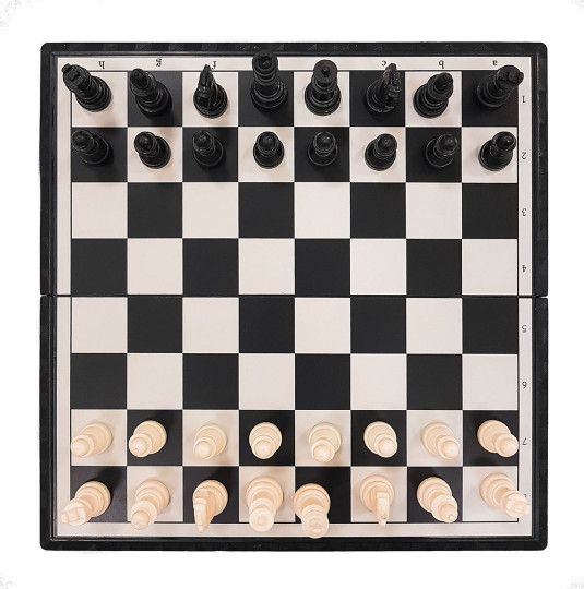 Шахматы магнитные 20х20 см